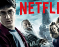 Netflix podría hacer su propio Harry Potter